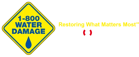 1-800 WATER DAMAGE Franchise Review and FDD Snapshot